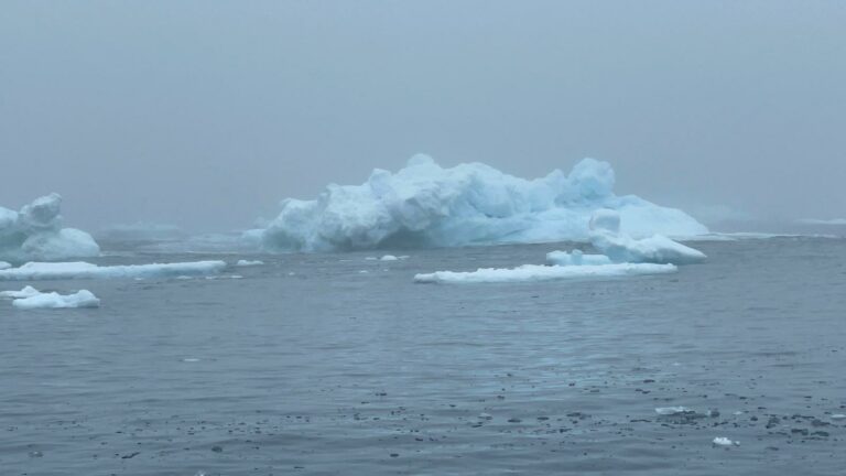 IMG-20240704-WA0001